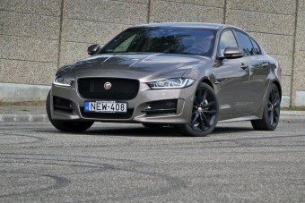 Új vadászterületen a Jaguar