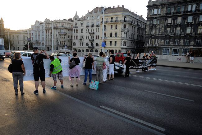 Gyalogosok zárták le az Erzsébet hidat – fotók 1