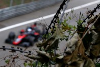 F1: A McLaren megoldja a pilótakérdést? 86