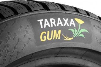 Már tesztelik a pitypangból készült autógumikat