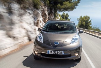 Importőrök a magyar villanyautós szervezetben