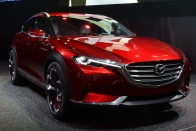 Letért a járt útról a Mazda SUV-ja 7