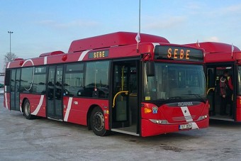 Van eszük az észteknek