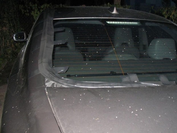 Egymilliós külföldi javítást védtek ki furfangos magyarok 12