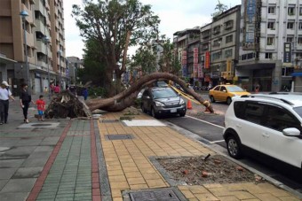 A nap képe ezúttal 11 fotó lett, nem tudtunk választani