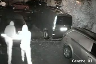 Állami megoldás a nepperek és autó tolvajok ellen