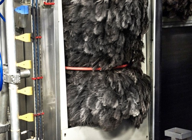 Strucctollaktól szép a Fordok fényezése 6