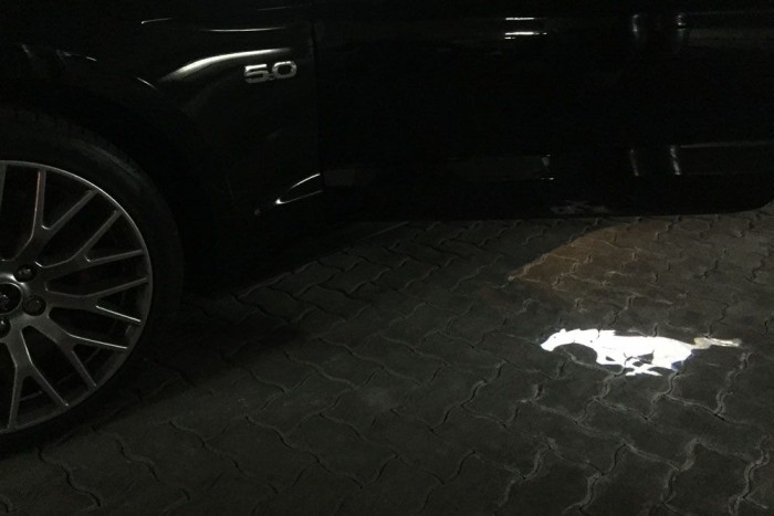 Kicsit bazári, mégis beleszerettünk a fehér lóba