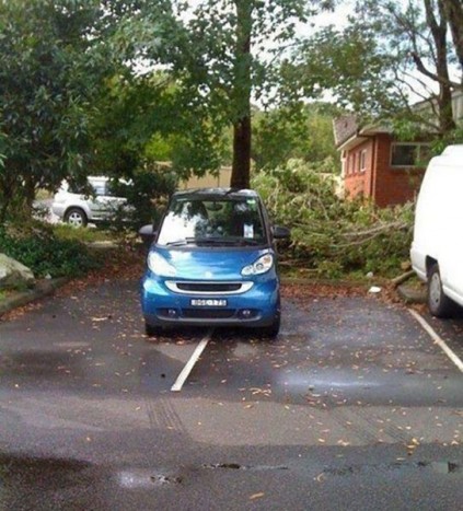 A tahó parkolás hazai és külföldi bajnokai 9