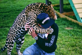 Jaguárt ölelgetett Lewis Hamilton