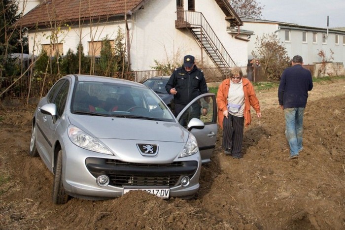 Traktorral büntette a földjén potyázókat a gazda 5