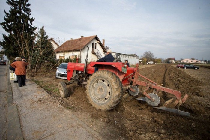 Traktorral büntette a földjén potyázókat a gazda 2 Traktorral büntette a földjén potyázókat a gazda 2