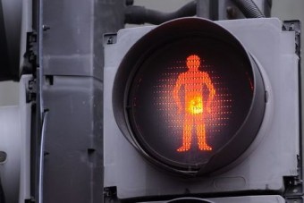 Túl gyorsan váltott a lámpa, ez okozta a gázolást