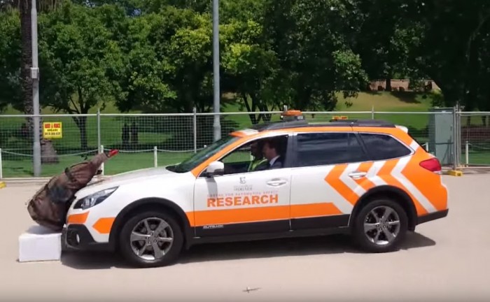 A Subaru is felsült, elütötte a műkengurut