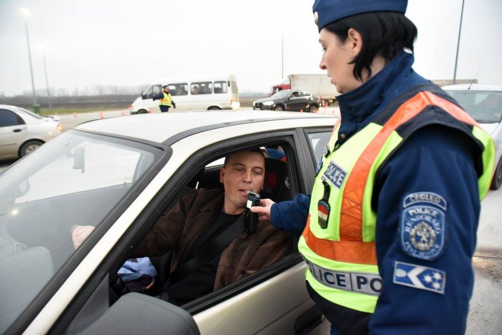 Meglepő eredménnyel zárult a rendőri razzia 1