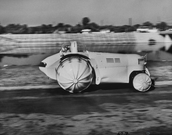 Ez a mocsárjáró szörny annyira ritka, hogy látni kell 7 | Vezess Ez a mocsárjáró szörny annyira ritka, hogy látni kell 7