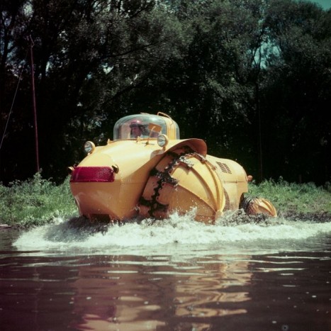 Ez a mocsárjáró szörny annyira ritka, hogy látni kell 5 | Vezess Ez a mocsárjáró szörny annyira ritka, hogy látni kell 5