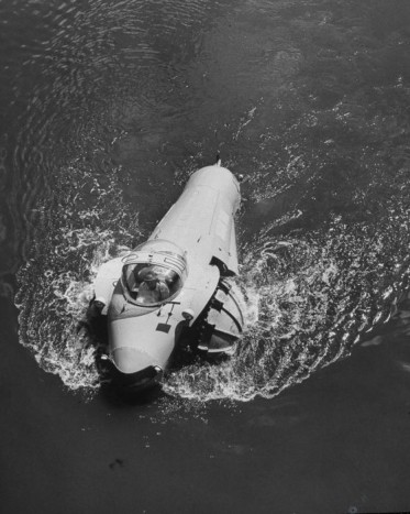 Ez a mocsárjáró szörny annyira ritka, hogy látni kell 6 | Vezess Ez a mocsárjáró szörny annyira ritka, hogy látni kell 6