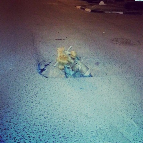 Ezt a 21 képet látva azt mondod: a magyar utak rendben vannak 12