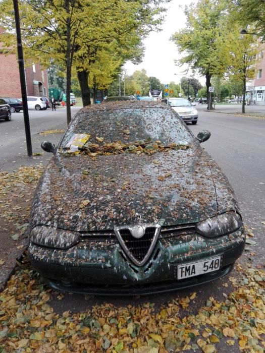 Szó szerint szarban hagyták szegény Alfa Romeót 5