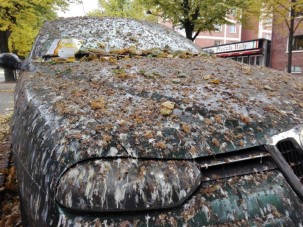 Szó szerint szarban hagyták szegény Alfa Romeót