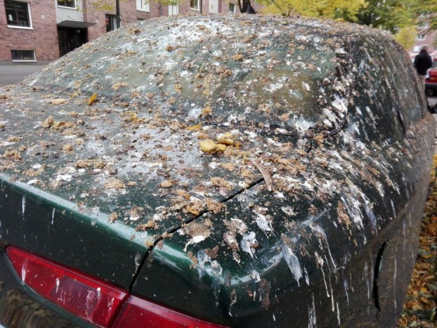 Szó szerint szarban hagyták szegény Alfa Romeót 7 | Vezess Szó szerint szarban hagyták szegény Alfa Romeót 7