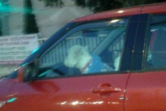 Autót vezető kutyát fotóztak Szegeden