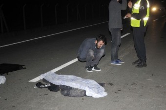 Az út közepén szelfiztek, halálra gázolták a tiniket