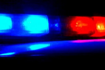 Öt pelusos gyerek sétált az autópályán