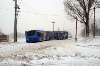 Csak néhány BKV-buszra jutott téli gumi