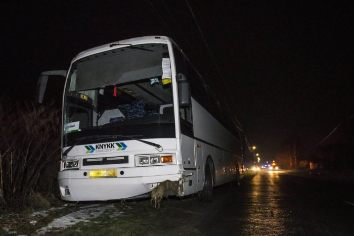 Megrázó képek a halálos tatai motorbalesetről 6