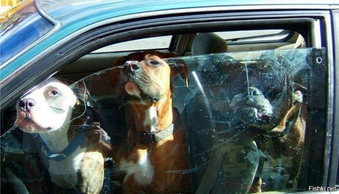 28 vicces és zseniális házi megoldás autólopás ellen 18 | Vezess 28 vicces és zseniális házi megoldás autólopás ellen 18