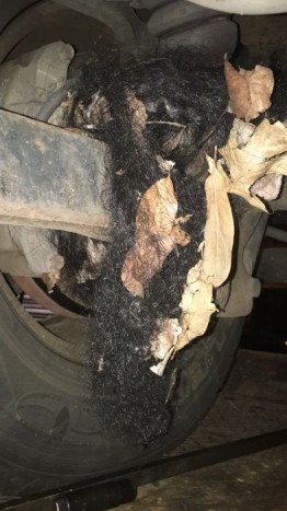 15 fotó az autószerelés poklából 9 Ne akard megtudni.