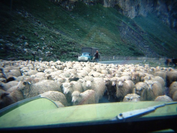 Egy magyar Trabant-tulaj filmbe illő története 6 | Vezess Egy magyar Trabant-tulaj filmbe illő története 6