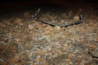 Valaki ácskapcsokat szórt az úttestre Újszászon