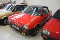 Több prototípus is készült 1987-1988-ban az Ibiza Cabrióból, több autószalonon is kiállították, a gyár vezetése azonban végül nem küldte sorozatgyártásba