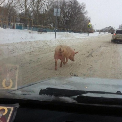 14 kép bizonyítja, hogy Oroszország a csodák világa 12 | Vezess 14 kép bizonyítja, hogy Oroszország a csodák világa 12
