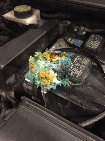 Ez valamilyen tudományos kísérlet?