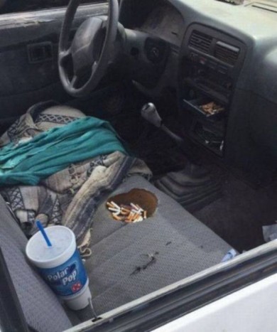 Van aki szeret veszélyesen élni.