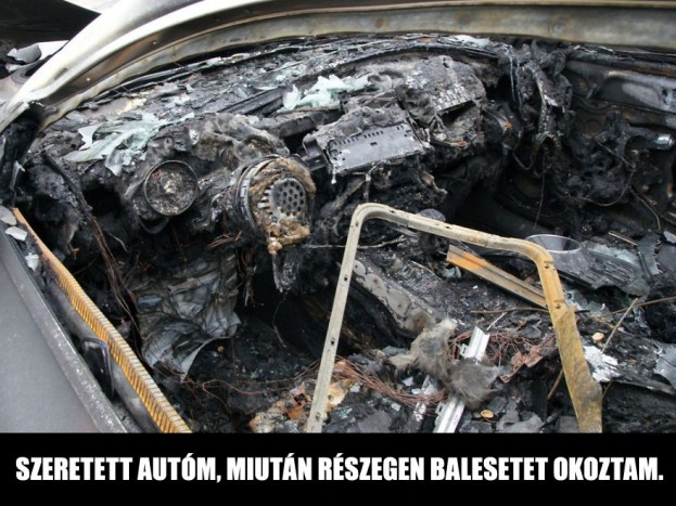 Ha szereted az autód, a családod, ez a képsor a szívedbe talál 14