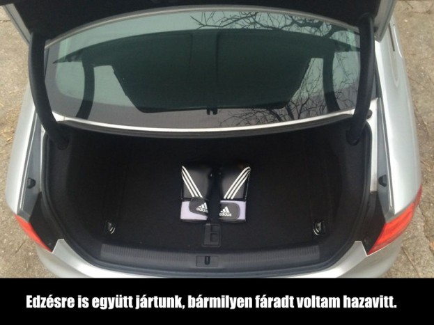 Ha szereted az autód, a családod, ez a képsor a szívedbe talál 13