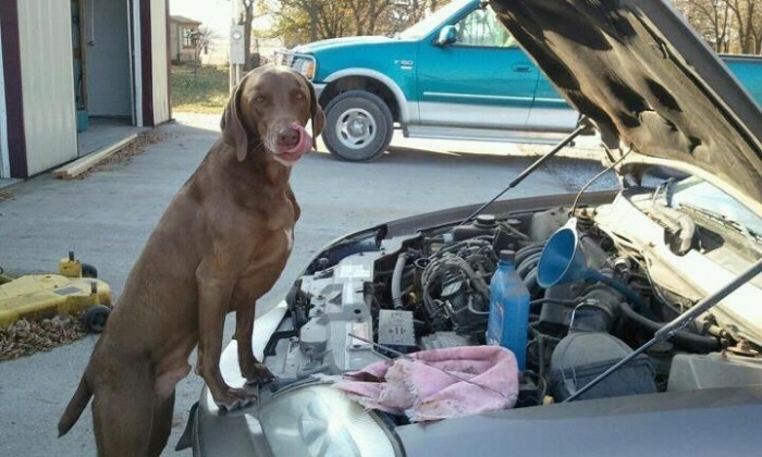 Ez az Audi hihetetlen hibát kapott egy túlképzett szakitól