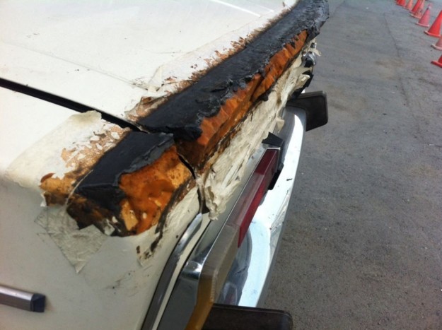 Úgy tűnik megtaláltuk az autókat is támadó pikkelysömör legújabb alfaját.