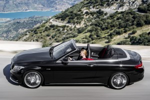 Nyitva várja a tavaszt