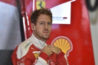 F1: Hamilton az élen, Rosberg falnak ment 41