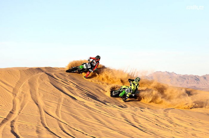 Doonies_2_005_503539_5686c4c10