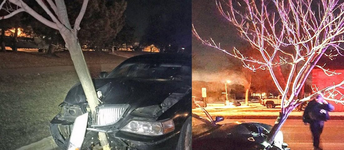 Ötméteres fa ékelődött az autó orrába, de a nő csak ment tovább