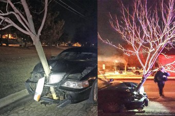 Ötméteres fa ékelődött az autó orrába, de a nő csak ment tovább