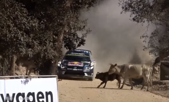 Ha mindenki így tudna vezetni nem lenne több gázolás az utakon