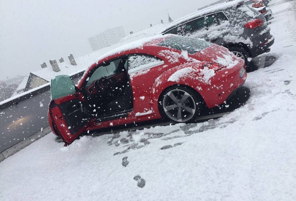 13087416_1311491395534638_5444852654721517705_n